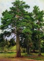 pino sin sol mary howe 1890 paisaje clásico Ivan Ivanovich árboles